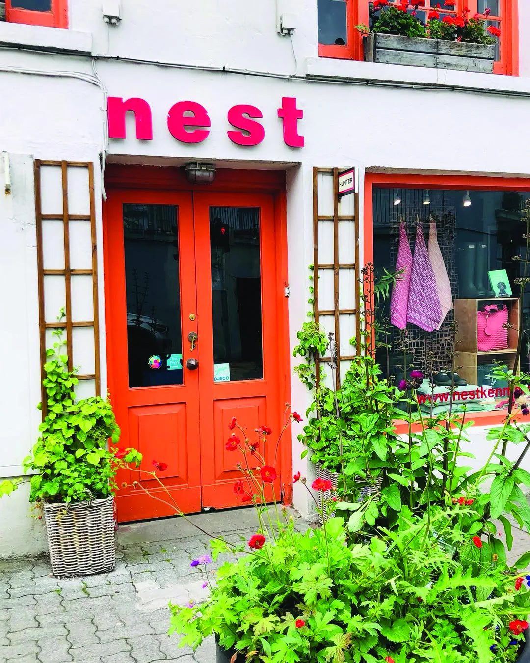 Nest-Kenmare.webp